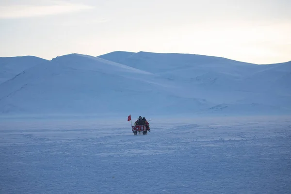 Cavalo Conduzido Trenó Neve — Fotografia de Stock