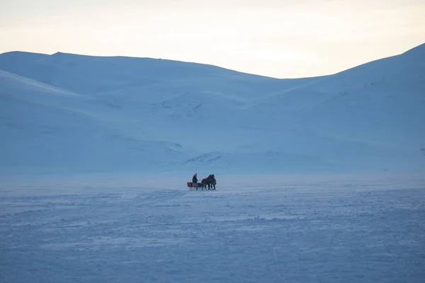 Horse Driven Sleigh Snow — Stock Photo, Image