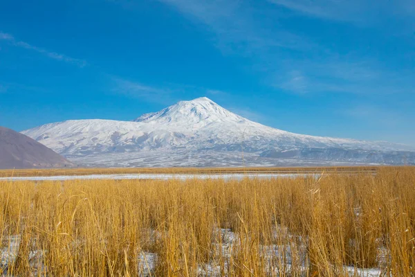 Mount Ararat Skirts Frozen Lake Children Playing — Stock Photo, Image