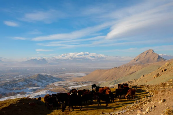 Ishak Pasha Palace Mount Pain View Doubeyazt Turquía — Foto de Stock