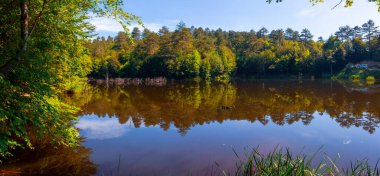 Tesvikiye 'de ağaçlarla çevrili Türkiye, Yalova, Dipsiz Gölü