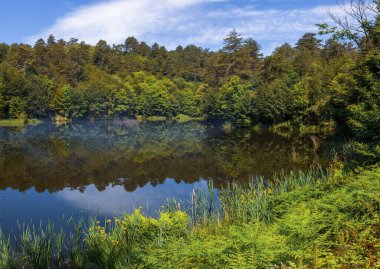 Tesvikiye 'de ağaçlarla çevrili Türkiye, Yalova, Dipsiz Gölü