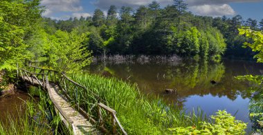 Tesvikiye 'de ağaçlarla çevrili Türkiye, Yalova, Dipsiz Gölü