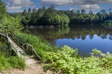 Tesvikiye 'de ağaçlarla çevrili Türkiye, Yalova, Dipsiz Gölü