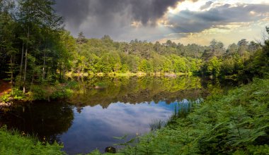 Tesvikiye 'de ağaçlarla çevrili Türkiye, Yalova, Dipsiz Gölü