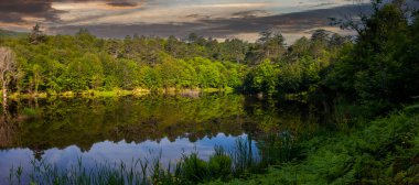 Tesvikiye 'de ağaçlarla çevrili Türkiye, Yalova, Dipsiz Gölü