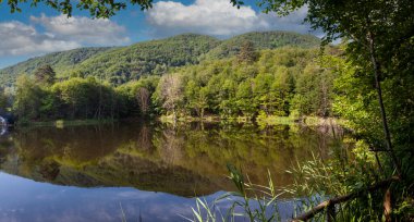 Tesvikiye 'de ağaçlarla çevrili Türkiye, Yalova, Dipsiz Gölü