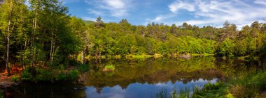 Tesvikiye 'de ağaçlarla çevrili Türkiye, Yalova, Dipsiz Gölü