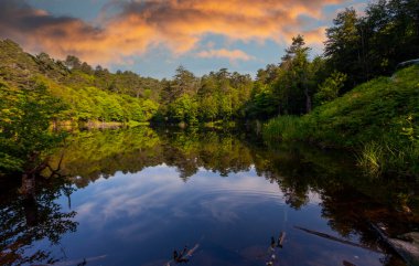Tesvikiye 'de ağaçlarla çevrili Türkiye, Yalova, Dipsiz Gölü