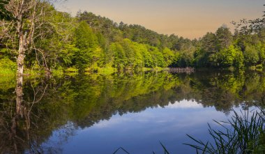Tesvikiye 'de ağaçlarla çevrili Türkiye, Yalova, Dipsiz Gölü