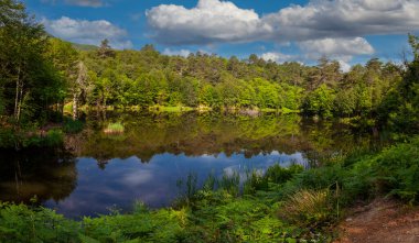 Tesvikiye 'de ağaçlarla çevrili Türkiye, Yalova, Dipsiz Gölü