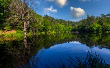 Tesvikiye 'de ağaçlarla çevrili Türkiye, Yalova, Dipsiz Gölü