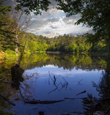 Tesvikiye 'de ağaçlarla çevrili Türkiye, Yalova, Dipsiz Gölü