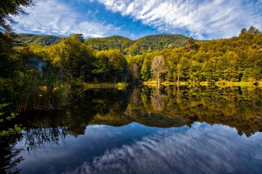 Tesvikiye 'de ağaçlarla çevrili Türkiye, Yalova, Dipsiz Gölü