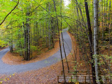 Bolu Yedigller Milli Parkı 'nın hava görüntüsü.
