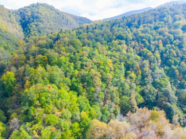Sinop Erfelek Şelalesi 'nin hava görüntüsü.