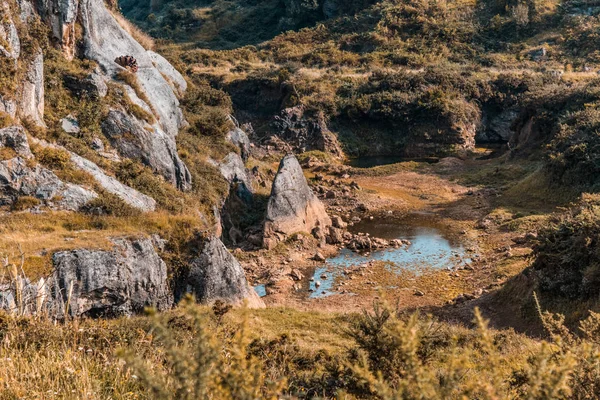 Doğada şaşırtıcı doğa fotoğraf