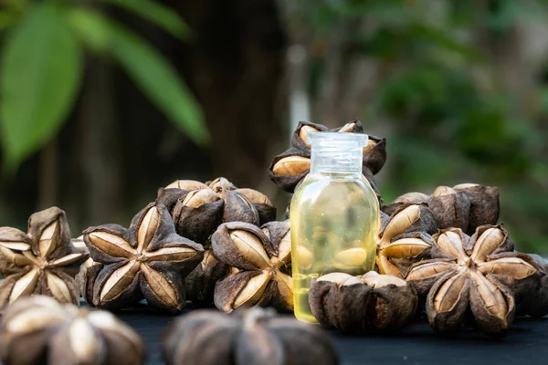 Makro sacha InChI yağı