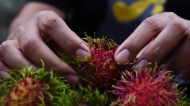 El Rambutan meyve yavaş açılış