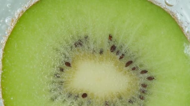 Makro Von Kiwi Früchten Wasser — Stockvideo