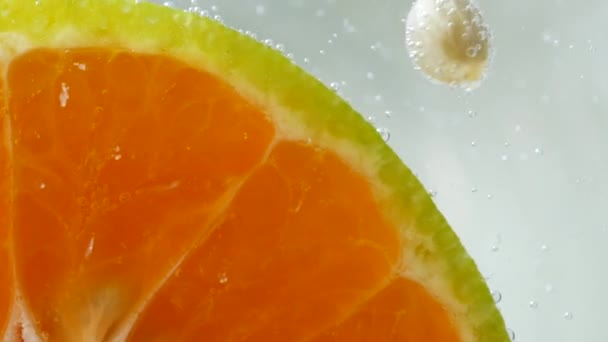 Macro Fruta Naranja Agua — Vídeos de Stock