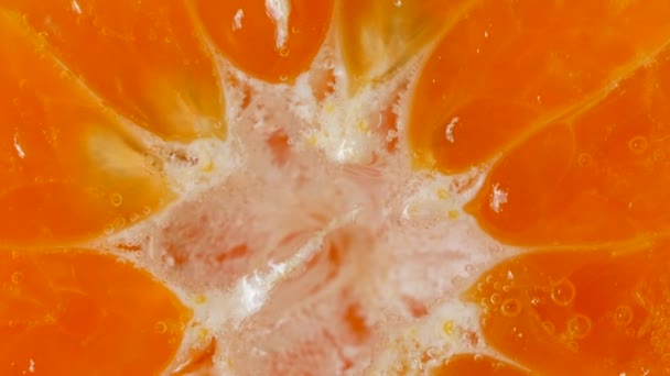 Macro Voor Oranje Fruit Water — Stockvideo