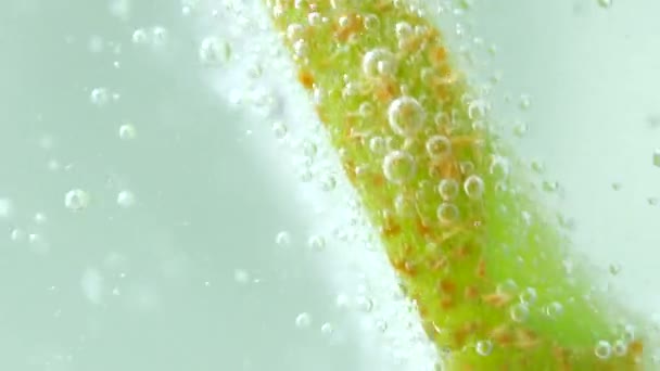 Makro Von Kiwi Früchten Wasser — Stockvideo