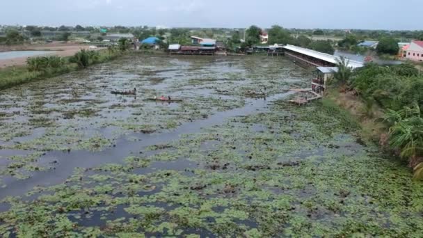 Bateau Aubes Voyageur Dans Lac Lotus — Video