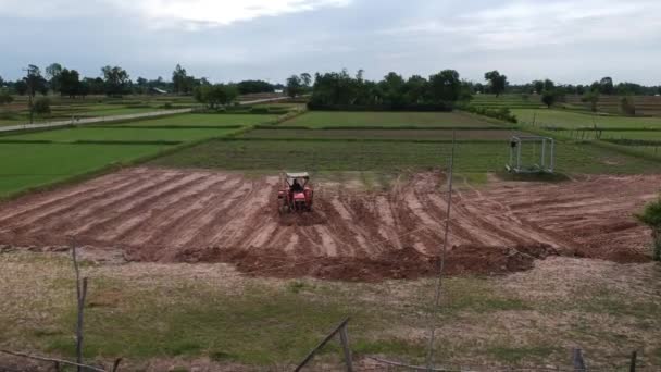 Vista Aérea Agricultor Lavoura Campo Arroz — Vídeo de Stock