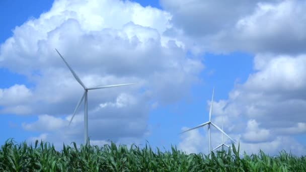 ファーム内の風車 — ストック動画