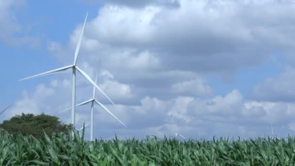 Éolienne Dans Parc — Video