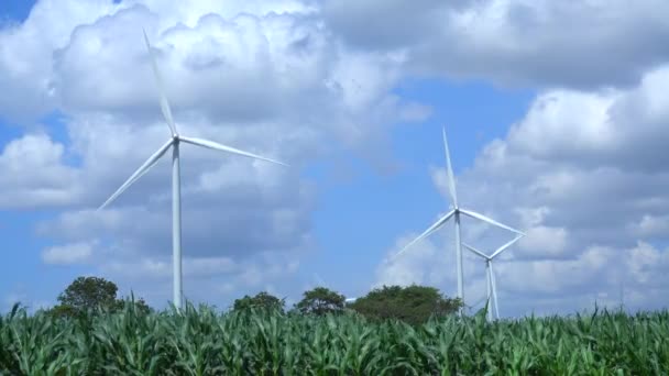 Wind Turbine Farm — Stock Video