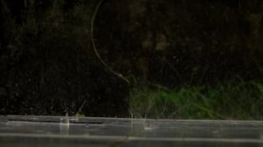 Yağmurlu doğa yavaş hareket