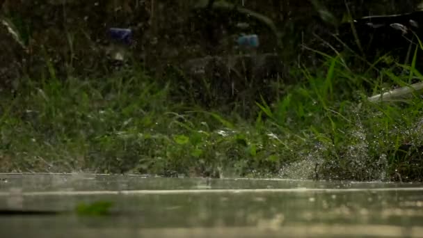 Regnerisch Der Natur Zeitlupe — Stockvideo