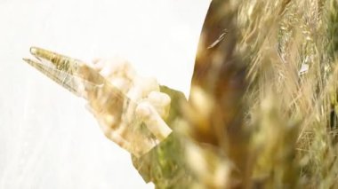 Tablet ile tarım arka plan kullanarak iş kadın çift pozlama