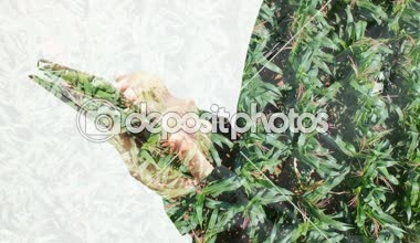 Tablet ile tarım arka plan kullanarak iş kadın çift pozlama