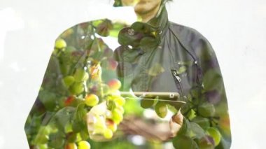 Tablet ile tarım arka plan kullanarak iş kadın çift pozlama