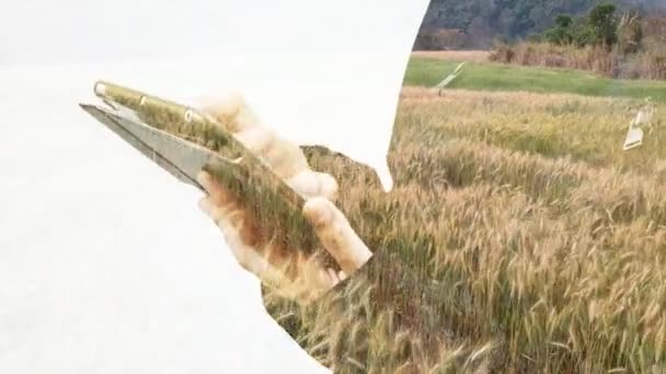 Doble Exposición Las Mujeres Negocios Utilizando Tableta Con Antecedentes Agrícolas — Vídeo de stock