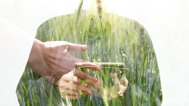 Double Exposure Business Women Using Tablet Agriculture Background — Stock Video