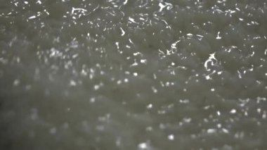 Tatlı yapışkan pirinç longan meyve ve Hindistan cevizi sütü ağır çekim yapma