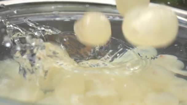 龙眼果与椰奶慢动作制甜糯米 — 图库视频影像