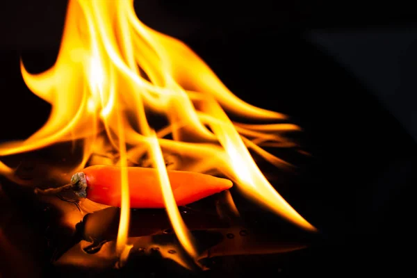 Fogo Queimando Pimenta Quente Fundo Preto — Fotografia de Stock