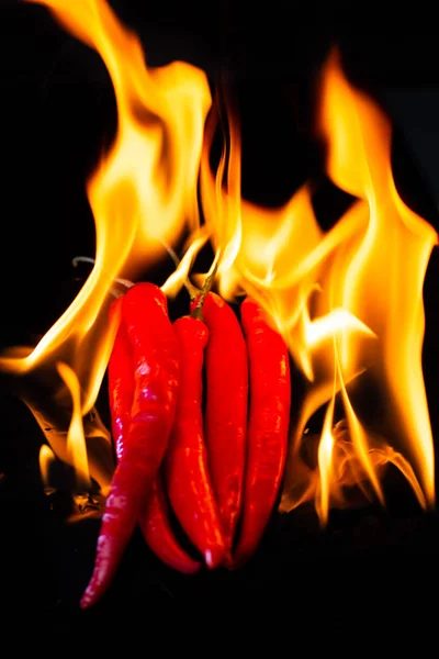 Vuur Branden Van Hete Chili Zwarte Achtergrond — Stockfoto
