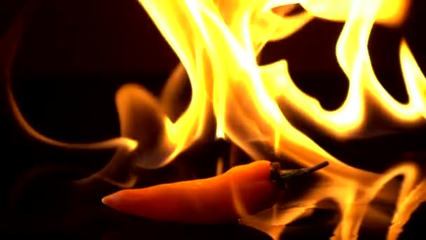 黒い背景にラーを燃えている火のスローモーション — ストック動画