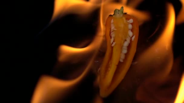 Slow Motion Elden Brinnande Het Chili Svart Bakgrund — Stockvideo