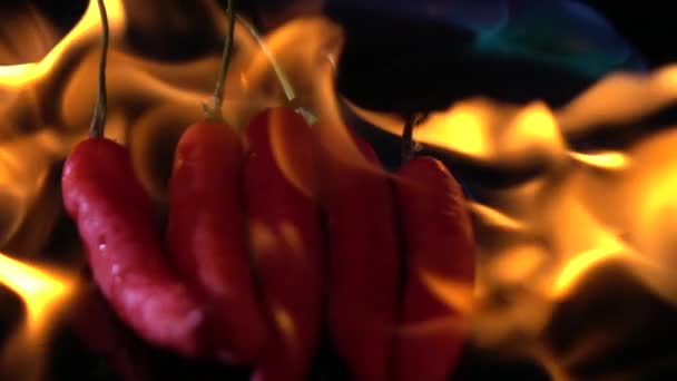 Zeitlupe Des Feuers Brennende Heiße Chili Auf Schwarzem Hintergrund — Stockvideo