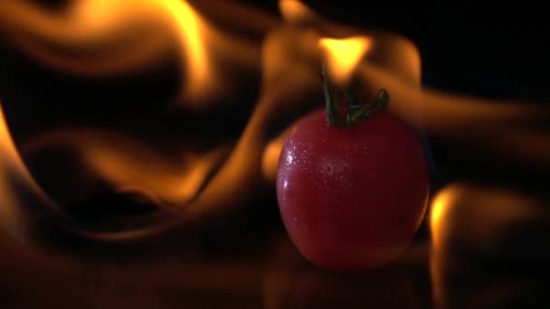 Movimiento Lento Fuego Tomate Ardiente Sobre Fondo Negro — Vídeos de Stock