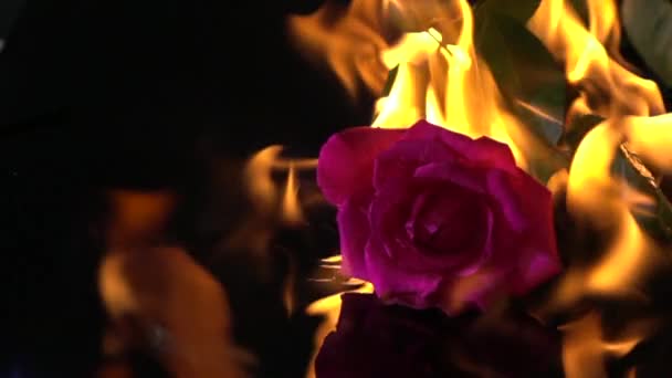 Burning Ökade Slowmotion — Stockvideo