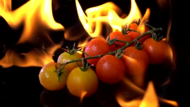 Tomaten Zeitlupe Grillen — Stockvideo
