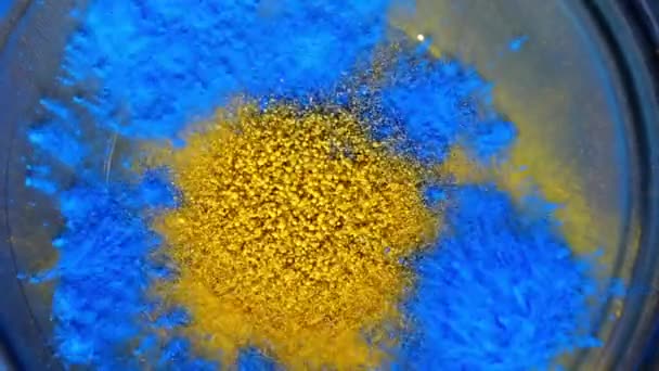 Powder Color Explosion Slow Motion — Stock Video